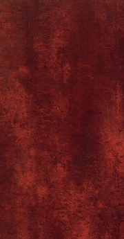 КЕРАМИЧЕСКАЯ ПЛИТКА И КЕРАМОГРАНИТ фото №3