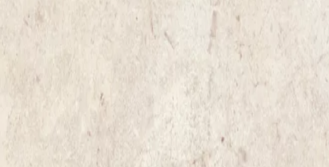 Керамогранит Argilla White 500x1000x10 Natural фото №1