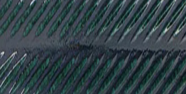 Керамогранит Elements Cobalt 450x1200x7 Spike фото №1