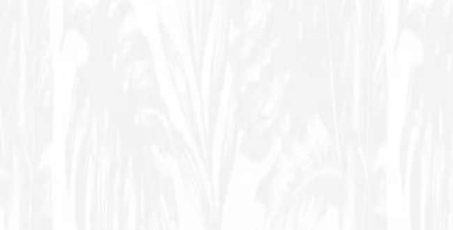 Керамогранит Elements Jungle 450x1200x7 Colors фото №1