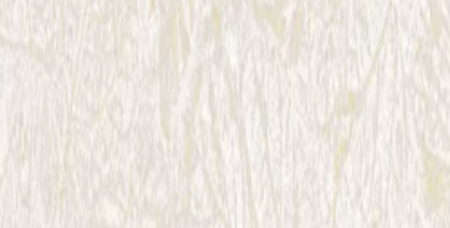 Керамогранит Fragmenta Beige 250x1000x10 Natural фото №1