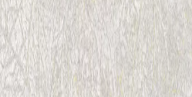 Керамогранит Fragmenta Grey 250x1000x10 Natural фото №1