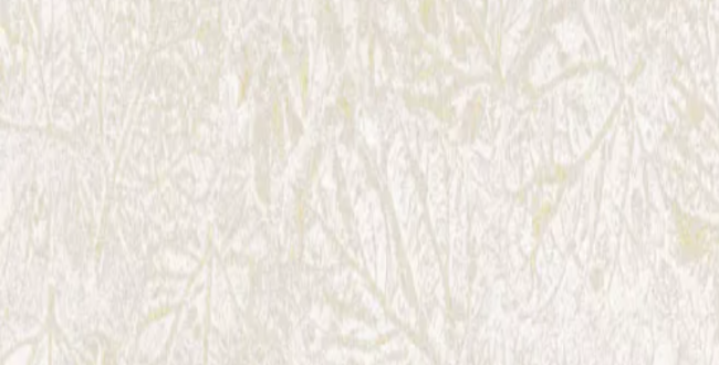 Керамогранит Fragmenta Beige 500x1000x10 Solid фото №1