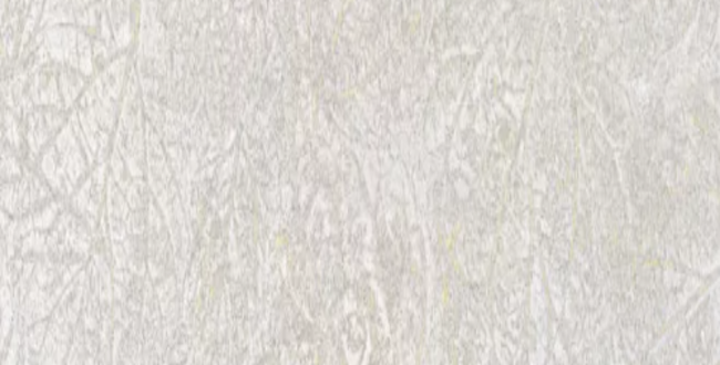 Керамогранит Fragmenta Grey 500x1000x10 Solid фото №1