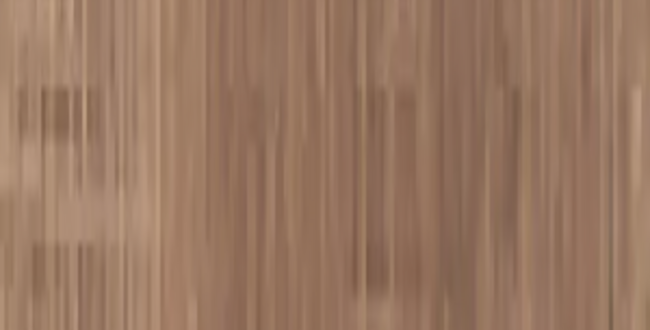 Керамограніт Junoon Maple 300x2800x6 Natural фото №1