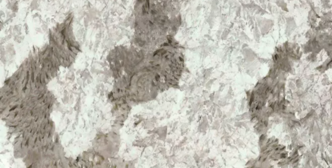 Керамогранит Patagonia Grey 1200x1200x6 Polished фото №1