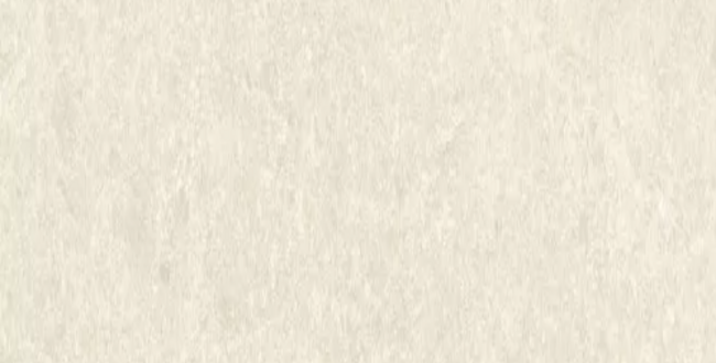 Керамогранит Pure Ivory 500x1000x7 Natural фото №1