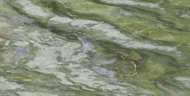 Керамогранит Brilliant Green Classics 8 mm 1200x600 Polished фото №1