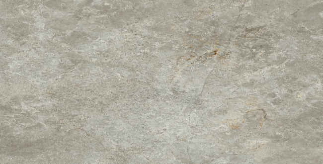 Porcelain stoneware Fior Di Bosco Classics 8 mm 600x600 Natural фото №1