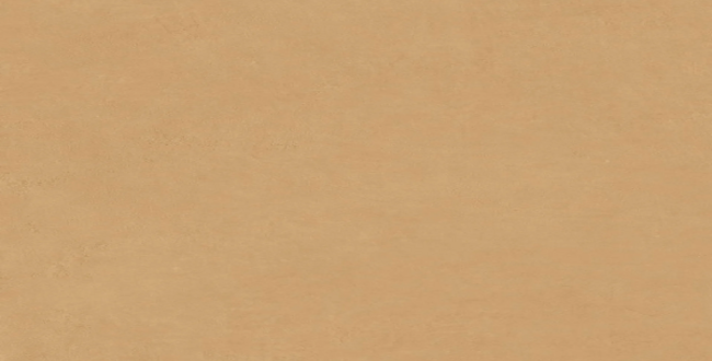 Porcelain stoneware Ochre 8 mm 600X600 Natural Plus фото №1