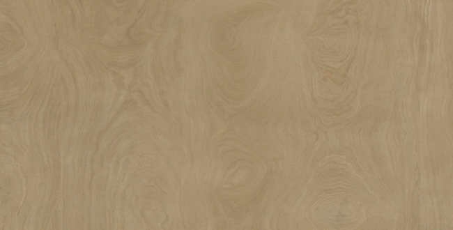 Porcelain stoneware Denver 280x120x6(+) Feel фото №1