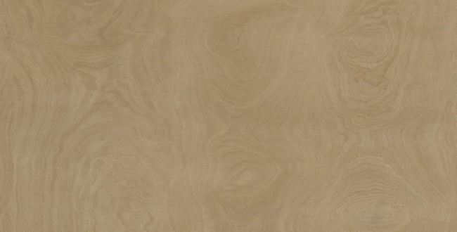 Porcelain stoneware Denver 300x100x3(+) Feel фото №1