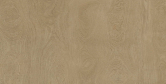 Porcelain stoneware Denver 320x160x6(+) Feel фото №1