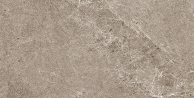 Porcelain stoneware ADVANTAGE SKIN GREIGE 1000x1000x3,5 фото №1
