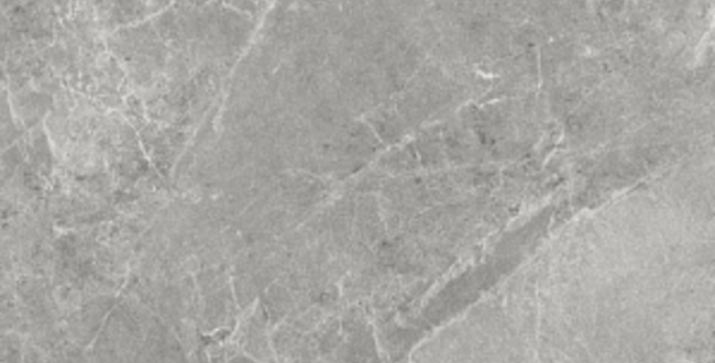Керамограніт ADVANTAGE SKIN SILVER 300х300х9 Naturale фото №1