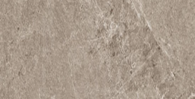 Керамограніт ADVANTAGE SKIN GREIGE 500x1000x3,5 фото №1