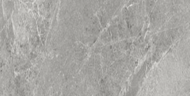 Керамограніт ADVANTAGE SKIN SILVER 500x1000x3,5 фото №1