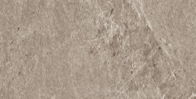 Porcelain stoneware ADVANTAGE SKIN GREIGE 900х1800х9 Lappata фото №1
