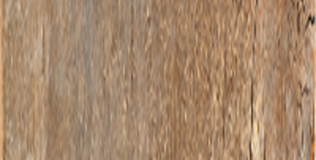 Керамограніт Country Aspen 200х1200х9 Naturale фото №1