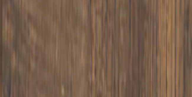 Керамогранит Country Vermont V2 200х1200х9 Naturale фото №1
