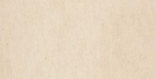 Porcelain stoneware ELEGANCE VIA CONDOTTI 1000x3000x5,5 фото №1