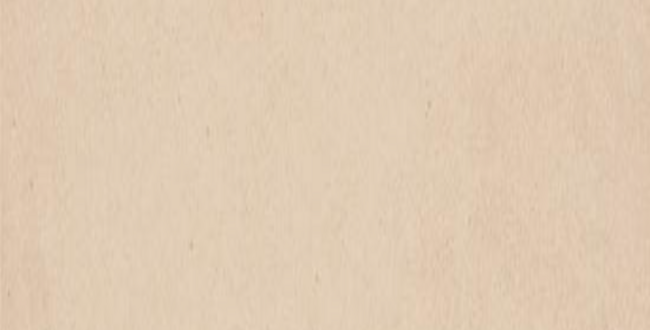 Porcelain stoneware ELEGANCE VIA MONTENAPOLEONE 1000x3000x5,5 фото №1