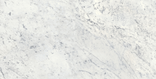 Porcelain stoneware Infinito 2.0 Carrara C 1200x2780x6 Honed фото №3