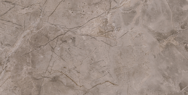 Керамогранит Infinito 2.0 Fior Di Bosco 1200x2780x6 Natural фото №3