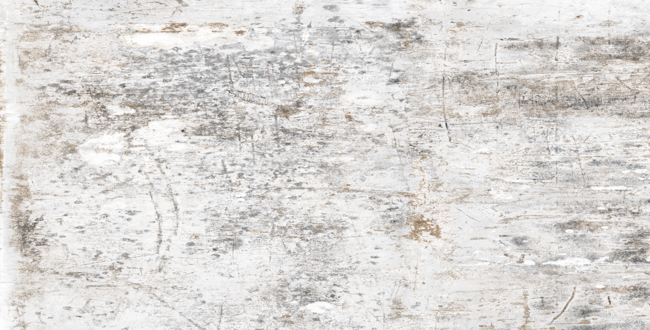 Керамограніт Urban Craft Plaster 1200x1200x6 Natural фото №2