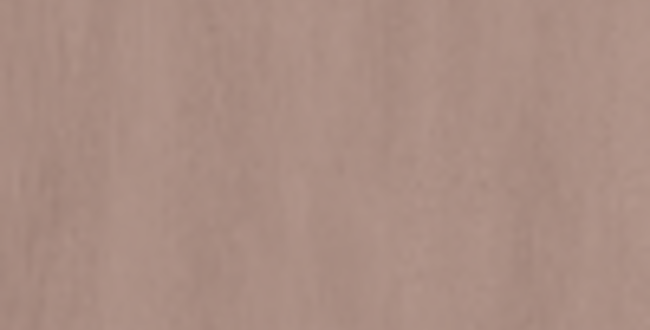 Керамограніт I Pigmenti Bark 100x600x8,5 Naturale фото №1