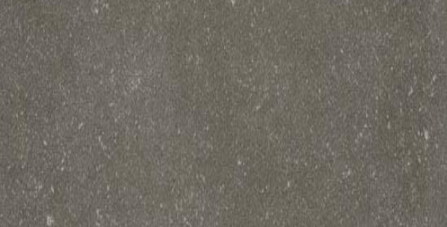 Porcelain stoneware Buxy Cendre 500х1000х3,5 Naturale фото №1