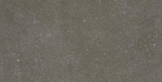 Porcelain stoneware Buxy Cendre 500х500х3,5 Naturale фото №1