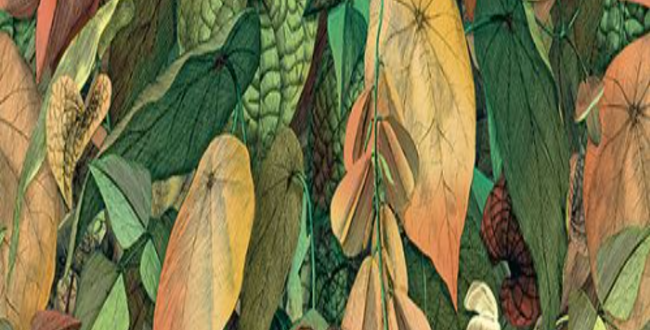 Керамограніт Wonderwall Foliage 1000х3000х3,5 Naturale фото №1