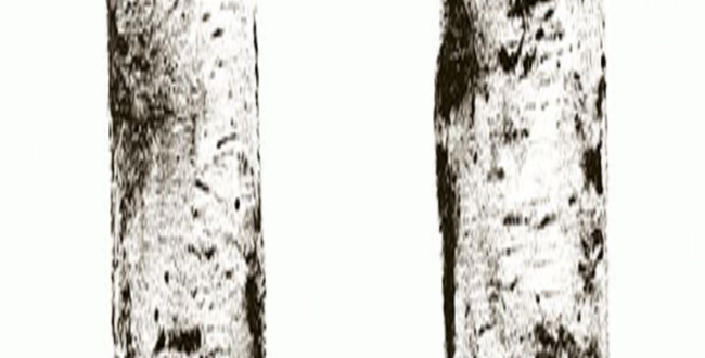 Керамограніт Wonderwall Ritmi 1000х3000х3,5 Naturale фото №1