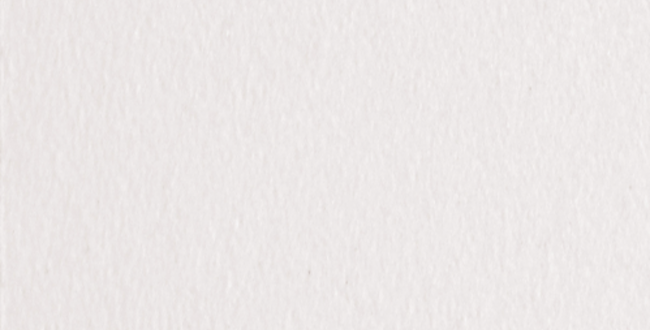 Porcelain stoneware Victorian 50x500x6 White Matt фото №1