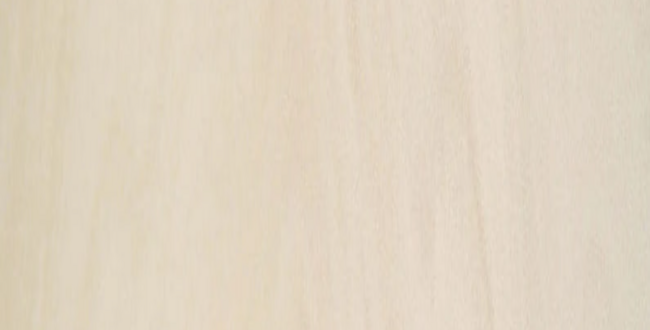 Porcelain stoneware worktop Arena 3 mm 1200x3600 Satin фото №1