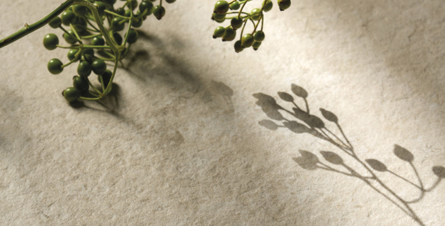 Стільниця з керамограніту Luna Limestone 320x160х12 Structured фото №3