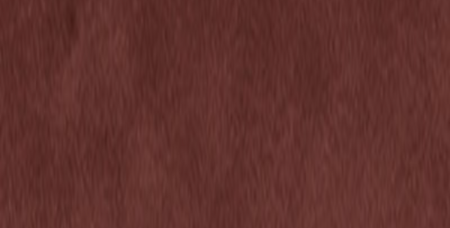 Керамогранит Fattamano 75x380x10 Maroon Glossy фото №1