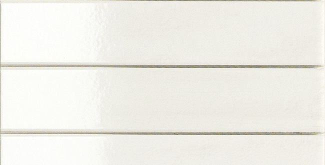 Porcelain stoneware Polveri 50x250x6 Lace Wall Glossy фото №2
