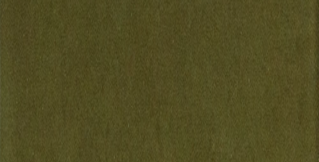 Porcelain stoneware Pop Flat 62x250x8,5 Muschio Glossy фото №1