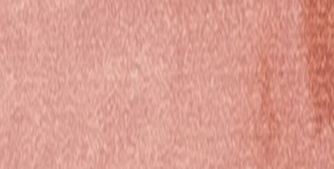 Керамогранит Tbrick 52x160x10 Apricot Glossy фото №1