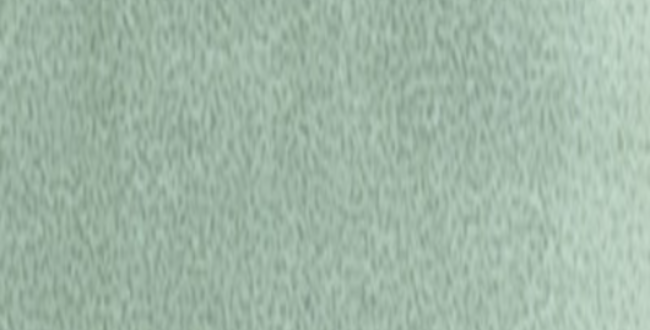Керамогранит Tbrick 52x160x10 Eucalyptus Glossy фото №1