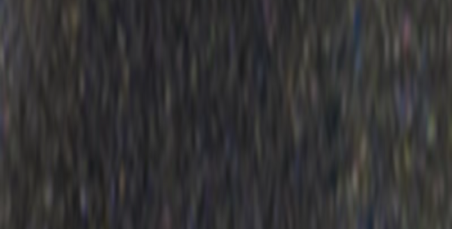Керамогранит Vernici 50x250x10 Shine On Glossy фото №1