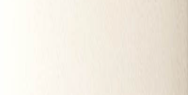 Porcelain stoneware Vibes 62x250x8,5 Niveo Peak Matt фото №1