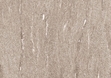 Керамограніт Alpine Taupe Vein 1200х2780х6 Real Matt фото №2