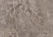 Керамогранит Infinito 2.0 Fior Di Bosco 1200x2780x6 Natural фото №1