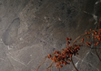 Керамогранит Breccia Imperiale 320x160х12 Natural фото №4