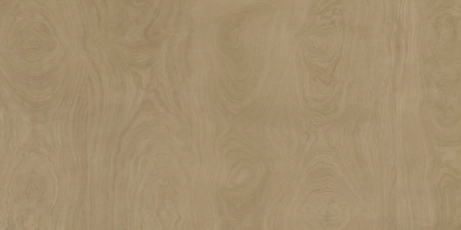 Porcelain stoneware Denver фото №1