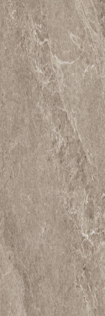 Porcelain stoneware ADVANTAGE SKIN GREIGE фото №1