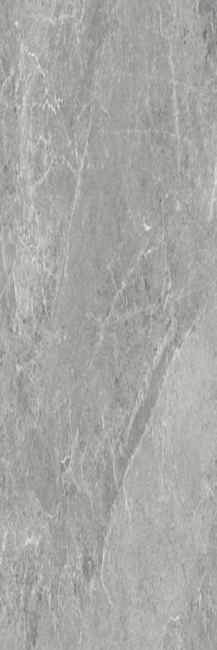 Керамограніт ADVANTAGE SKIN SILVER фото №1